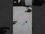 Snowmobile nearly takes out unsuspecting man