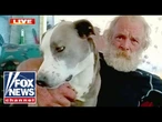 Dog saves owner after truck drives off a cliff