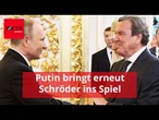 Putin schlägt erneut Schröder als EU-Unterhändler vor