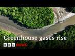 Greenhouse gases rising at record levels, UN says | BBC News