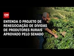 Conexão Agro: Senado aprova projeto de renegociação de dívida rural | CNN PRIME TIME