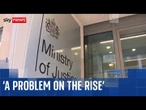 The 'problem on the rise' as 262 prisoners released in error