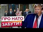 40 років Україні НЕ СВІТИТЬ НАТО  ДВЕРІ ДЛЯ України ЗАКРИТІ? | Трамп СКАЗАВ ЦЕ