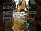 Mondial 2026 : l'inquiétude des supporters sénégalais face aux visas pour les Etats-Unis