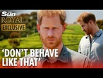 I saw Prince Harry’s rude side in Malawi - he was a patronising idiot and even his team were LIVID