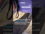 “Chifres radioativos”: técnica inovadora busca proteger #rinocerontes de caça ilegal na #áfricadosul