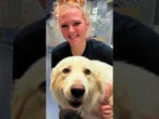 Volunteers help rescue hundreds of cats, dogs amid deadly Texas floods