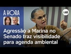 Agressão a Marina Silva no Senado traz visibilidade para agenda ambiental | A Hora