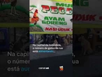 "Ilha dos gatos": Indonésia avalia realocar 800 mil animais de rua