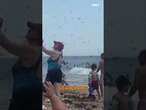 LIBELLEN-ALARM: OMG! Hunderttausende Insekten vertreiben Urlauber vom Strand in Rhode Island #shorts