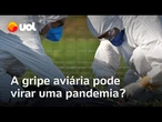 Brasil registrou seu primeiro foco de gripe aviária: há risco de pandemia?