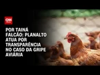 Análise: Planalto atua por transparência no caso da gripe aviária | BASTIDORES CNN