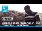 Sénégal : suspension de l'exportation d'arachide, un tournant pour l'agriculture • FRANCE 24