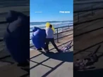 CHARGED: Man arrested for allegedly assaulting Trump supporter #shorts #foxnews #news #us