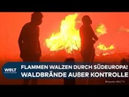 FEUER IN SÜDEUROPA: Portugal fordert Hilfe, Evakuierungen in Spanien! Tausende kämpfen gegen Flammen