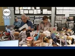 Tom Hanks, Tim Allen, Greta Lee, Craig Robinson sneak peek new ’Toy Story 5’ toys