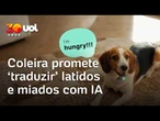 Conversa com pets? Coleira com IA promete traduzir língua animal | O Impensável
