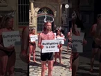PETA denuncia que la tauromaquia en los Sanfermines es una "burla a los valores católicos"