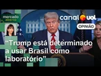 Trump quer interferir na eleição de 2026 para beneficiar a extrema direita brasileira | Amanda Klein