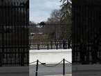 Man is caught climbing White House fence