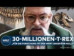 T-REX-AUKTION: "Für die Forschung ist der Wert ungefähr null!" Experte übt scharfe Kritik!