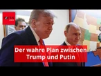 Der wahre Plan zwischen Trump und Putin ist beängstigender, als Experten glauben