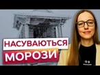 На ЗАКАРПАТТІ ВИПАВ СНІГ! По всій УКРАЇНІ до +10! ПОГОДА на ТИЖДЕНЬ