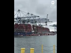 Containers topple off cargo ship, plunge into California waters