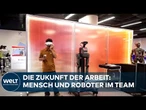KI-ROBOTER: Wie Chinas Greater Bay Area zur globalen Schaltzentrale der Automatisierung wird