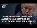 Trump pressiona China por aumento nas compras de soja; Brasil pode ser afetado