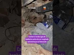 Bombeiros salvam e dão água a cachorro preso sob destroços de desabamento na Venezuela; veja vídeo