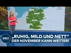 Spätherbst in Deutschland: Sonne, 20 Grad und Nebel im Süden prägen den Novemberstart | Wetter