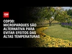 COP30: Microparques regulam temperatura e umidade do ar | CNN PRIME TIME