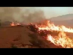 Incêndio florestal deixa 12 mortos no sul da Espanha | AFP