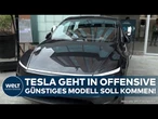 TESLA: Elon Musk geht in Offensive! Kampf der E-Autos! Billigere Version von Modell Y soll kommen