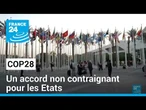 COP28 : les scientifiques dénoncent l'accord non contraignant pour les Etats • FRANCE 24