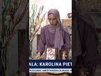 Kambodżańska artystka tworząca obrazy z ziaren ryżu