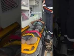 Cadela acompanha tutor atropelado e se recusa a deixá-lo sozinho em ambulância no RS