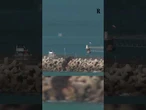 Le imbarcazioni della Flotilla portate dai militari israeliani al porto di Ashdod