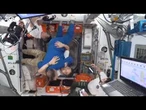 Aperto il portello della Crew Dragon, ora sono in 11 sulla Iss