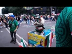 Osito, le chien sauvé qui conquiert les cœurs à la Coupe du monde