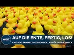 ENTENRENNEN: Chicago Duck Derby verwandelt Fluss in gelben Gummi-Teppich
