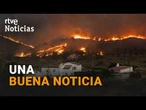 INCENDIO ALMERÍA | VECINOS DESALOJADOS de BÉDAR consiguen salvar su GANADO | RTVE Noticias