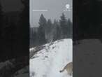 Rare 'snownado' spotted during Utah winter storm