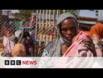 UN Security Council demands end to Sudan's city siege | BBC News