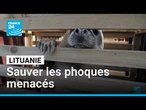 Lituanie : des opérations pour sauver les phoques de la fonte des glaces • FRANCE 24