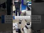 Humanoid robot takes robotic dog for a walk