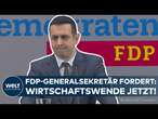 AMPEL AM ABGRUND: Lindner-Papier zur Wirtschaftswende |Statement von FDP-Generalsekretär Djir Sarai