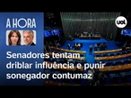 Senadores tentam driblar influência e punir sonegador contumaz | Thais Bilenky