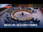 Watch live: United Nations Security Council | Wednesday 11 December 2024